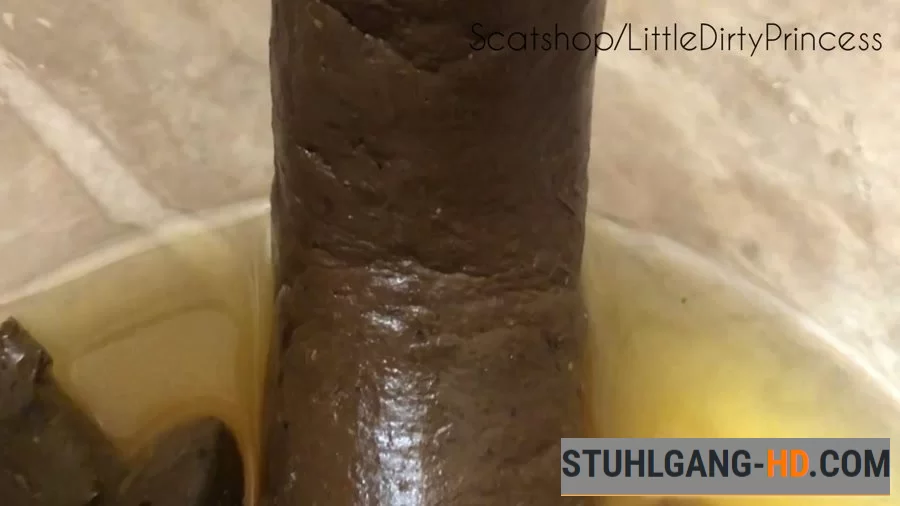 LittleDirtyPrincess - Long thick poop served in a bowl of pee for you (Kacken, Scheißen, Scheiße essen) [FullHD 1080p] 609 MB