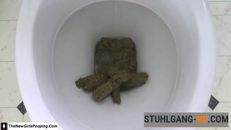 ShitGirl - Toilet Destroyed In 5 Mins (Kacken, Scheißen, Scheiße essen) [FullHD 1080p] 471 MB