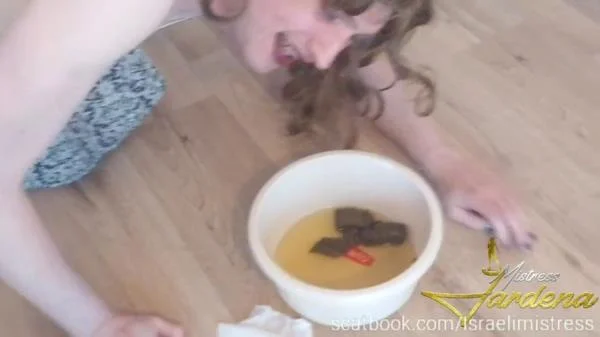 Sissy coerced scat (Kacken, Scheißen, Scheiße essen) [HD 720p] 83.1 MB