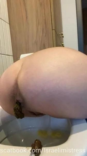 Heavi dinner for pathetic slut (Kacken, Scheißen, Scheiße essen) [SD] 14.3 MB