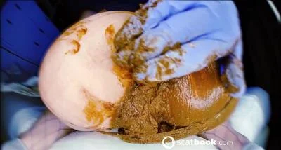 Two in One Panty's Double Trouble (Kacken, Scheißen, Scheiße essen) [FullHD 1080p] 335.52 MB