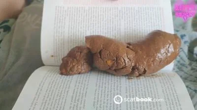 The Book Critic This Book (Kacken, Scheißen, Scheiße essen) [FullHD 1080p] 1.64 GB