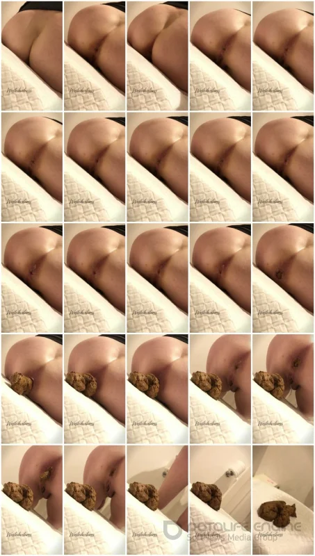Watch Sitting And Shitting (Wastedwetness) [FullHD 1080p] 57.3 MB Online