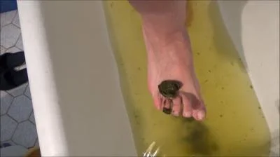 Watch Poop And Enema [SD] 382 MB Online