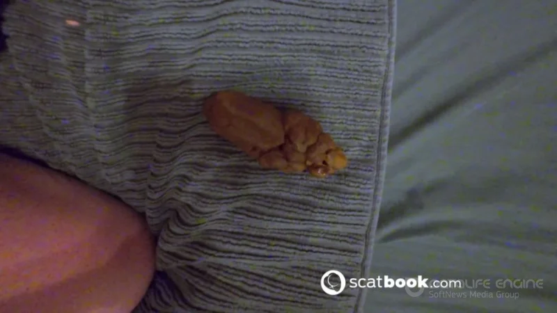 Watch Missionary HUGE Poop [UltraHD/4K] 640 MB Online