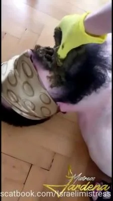Watch Scat lunch for my dirty slut [SD] 32.0 MB Online