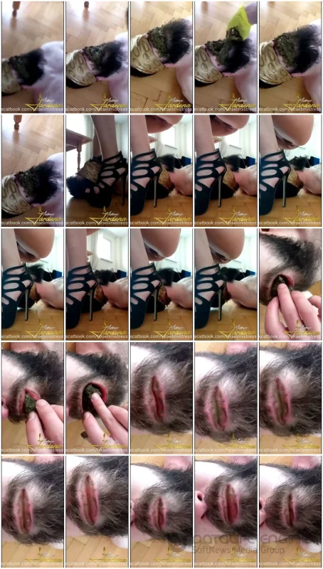 Watch Scat lunch for my dirty slut [SD] 32.0 MB Online