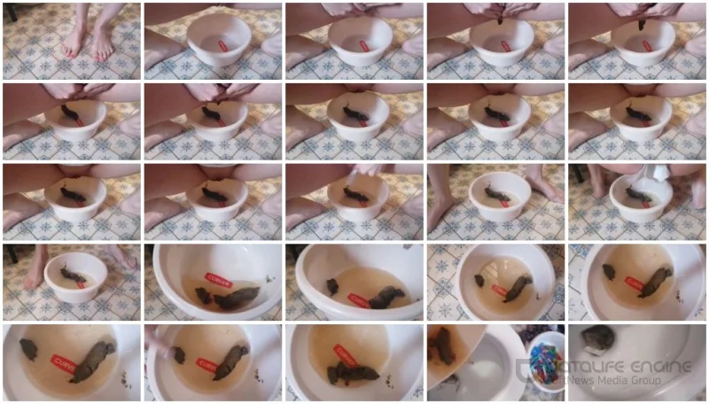 Watch Bitchs meal [HD 720p] 26.5 MB Online