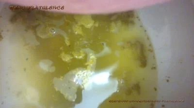Watch Diarrhea In The Toilet [FullHD 1080p] 365 MB Online