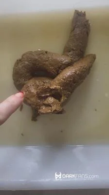 Watch Toilet Pov - Hoy He Hecho Este Delicioso Pastel De Mierda [UltraHD 2K] 66.2 MB Online
