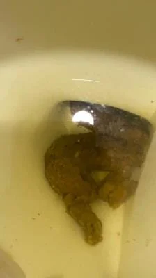 Watch Shitting On The Bathroom Floor At Work [SD] 347 MB Online