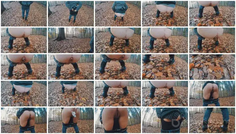 Watch Autumn Rocks [HD 720p] 39.1 MB Online
