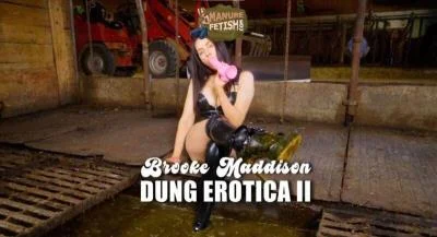 Watch Scat Dung Erotica 2 [HD 720p] 971.5 MB Online