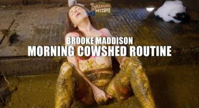 Watch Morning Cowshed Routine [HD 720p] 820.8 MB Online